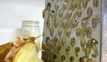20 Trucos de limpieza brillantes 