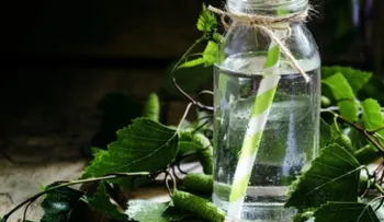 El agua de abedul está de moda: ¿cuáles son sus propiedades?