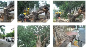 En gráficas secuelas de Erika por sector de Gazcue