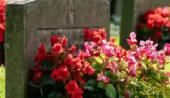 Mueren cuatro personas y otras fueron hospitalizadas tras ser incitadas por un pastor a ayunar para encontrar a Jesucristo 