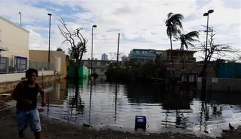 Puerto Rico aumentan a 76 casos sospechosos de leptospirosis tras María 