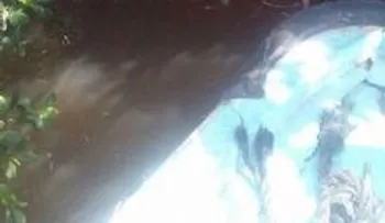 Policía investiga muerte de hombre atado con bloques de cementos; creen sería disputa por punto de droga