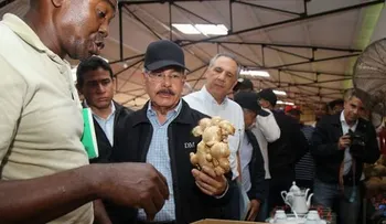 Presidente Danilo promete apoyo a productores de jengibre de Samaná