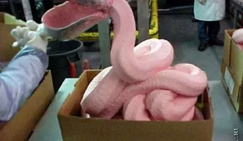 Experto dice que McDonaldâ??s lava carne con un químico que daña la salud 