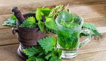 La ortiga y cómo usarla en la cocina 