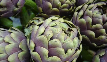 Infusión mágica contra el colesterol