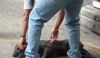 Hombre en Virginia quema vivo a su perro