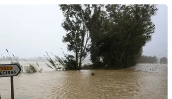 La falta de sol y lluvias intensas afectan el ánimo