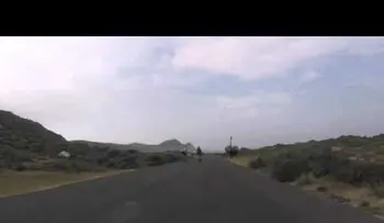 Avestruz gigante persigue a un grupo de ciclistas (VIDEO)