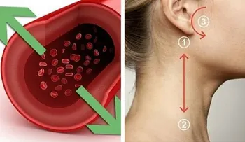 El método natural que baja la presión arterial en 5 minutos sin medicamentos