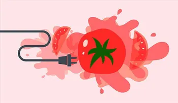 Cómo un tomate se convierte en energía