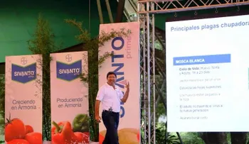 Bayer lanza insecticida para controlar plagas en vegetales