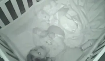 Padres comparten video de bebé de 2 años orando por ellos