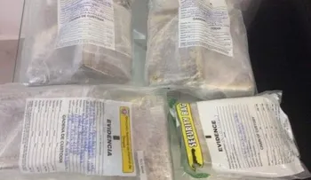 Apresan dominicano intentó llevar 10 paquetes de droga a España
