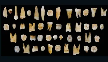 Dientes antiguos encontrados en China cuestionan la teoría de la migración
