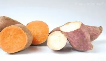 La batata es un súper alimento, conoce sus beneficios