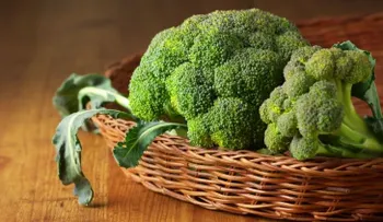 Estos 5 alimentos te ayudan a ser más inteligente