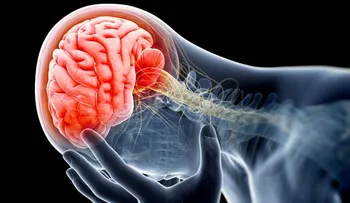 Día Mundial del Cerebro: Enfermedades comunes que afectan a este órgano