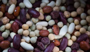 Los 7 mejores alimentos para bajar el colesterol