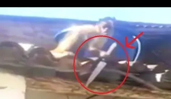 Un mono borracho con un cuchillo aterroriza a los clientes de un bar en Brasil