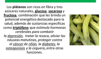 El consumo de plátano verde te controla el peso, regula la diabetes y el colesterol