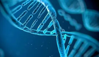 Un cromosoma X puede ser razón de longevidad femenina, afirma estudio