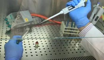  Crean un músculo humano que funciona a partir de células madre 