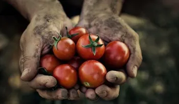 Anuncian seminario sobre agricultura familiar en el país