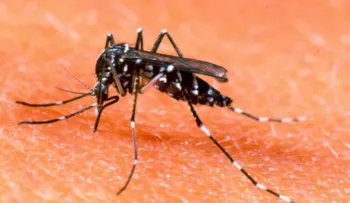 Brasil producirá test para diagnosticar dengue, zika y chikunguya a la vez