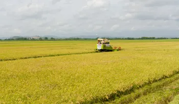 Gobierno garantiza abundancia de productos agropecuarios en Navidad y fin de año