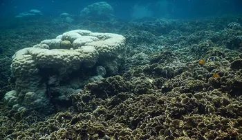 La Isla de Koh Tao en Tailandia, un destino paradisíaco