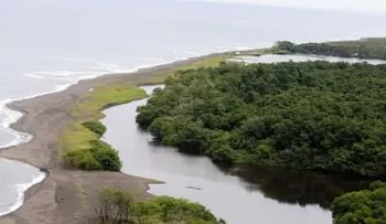 Destacan la riqueza natural de América Latina como factor para su desarrollo