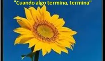 Cuatro leyes de la espiritualidad