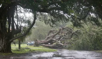 Los récords que ha roto Irma y otras estadísticas impresionantes