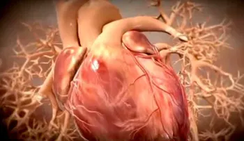Casarse puede aumentar las probabilidades de sobrevivir un infarto