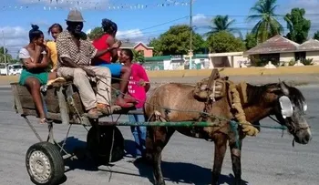 Conozca el â??Carreconchoâ? de Boca Chica