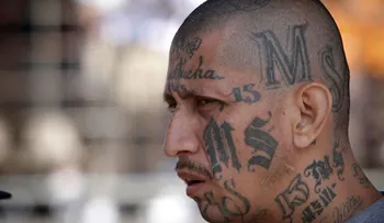 Crece el terror a la Mara Salvatrucha, la pandilla que mata a adolescentes en Nueva York