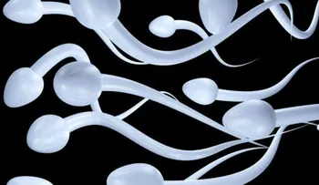 Hipersensibilidad al semen: Una alergia muy singular