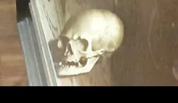 ¿Qué figura oculta este misterioso cuadro de 1533?