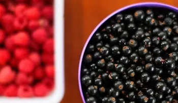 Alimentos que podrían perjudicar tu salud bucal y no lo sabías