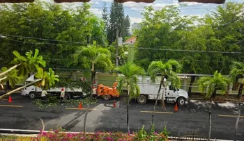 Residentes de Los Cacicazgos denuncian ruido y polvo por trituración de ramas