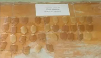 DNCD apresa mula con 35 bolsitas de drogas en el estómago 