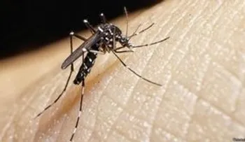 500 bebés nacerán con microcefalia por zika en Colombia 