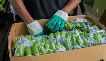 Zonas francas registra nuevo record histórico en exportaciones durante el mes de abril
