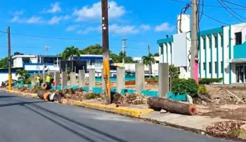 Baní denuncia tala de robles centenarios en el centro urbano durante remozamiento de RD$57 millones