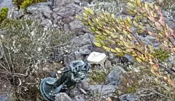 Desconocido lanzan al vacío estatua del patricio en el Pico Duarte
