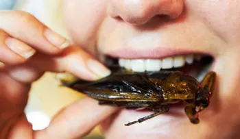 Guácala: ¿Te atreverías hacer la dieta de este adolescente basada en insectos?   