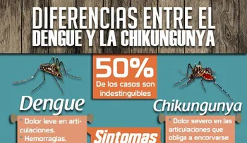 Dengue y chikungunya: ¿Cómo se diferencian?