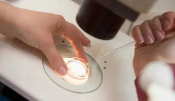 Científicos asombrados: logran crear bebes humanos en el laboratorio