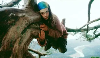 Una mujer se subió a un árbol para evitar su tala y no bajó en dos años